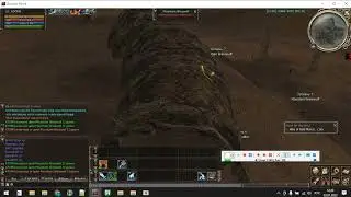 Бот для Asterios.tm, Бот для Lineage 2  , x1 Prime ,  на Autohotkey