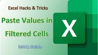 Paste Values in Filtered Cells in English (Snaps Video)