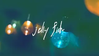 Diamond Lily「jelly fish」LIVE MUSIC VIDEO