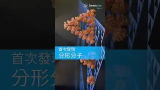 首次發現分形分子