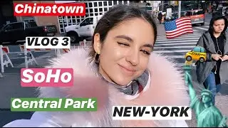 NEW YORK ENGLISH VLOG 3| Skating in Central Park, Best Rooftop in NYC, Chinatown and SoHo
