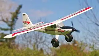TOP 10 RC PLANES