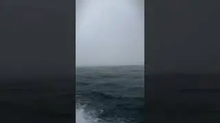 Este viaje no salió como esperaba