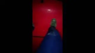 trampling car