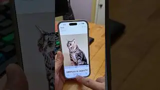 How To Enable iOS/iPhone Photos App Visual Lookup (Object Identification) Feature 