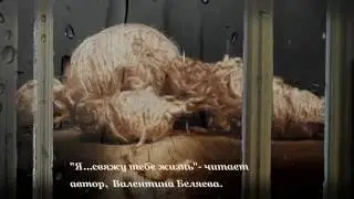 Я ...   свяжу тебе жизнь