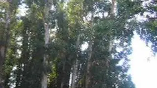 UC Berkeley Campus Tour Part 1 of 4