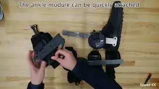 A Modular, Backdrivable Ankle Exoskeleton for Assisting the Activities of Daily Life