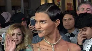 'xXx: The Return of Xander Cage' Premiere