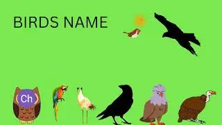 Learn English Birds Names - 3D Animation Preschool Nursery rhymes for children