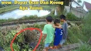 Cari ikan di sawah #sawah #bolang