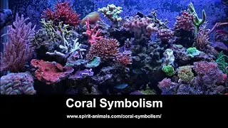 Coral Symbolism