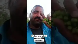 Pedere niye takdir getirmediğimi anlatırken #shorts #komik #komikvideo #komikvideolar