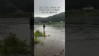 Малиновый звон на заре 