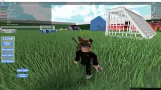 How to use SS scripts