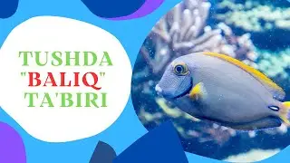 TUSHDA BALIQ TABIRI | TUSHDA BALIQ KO'RSA NIMA BO'LADI..!