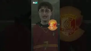 Hogwarts Highlights: Harry Potter