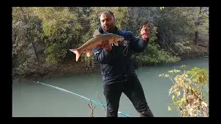 Ташкентский УСАЧ. На черный Виноград! Ташкент Бозсу.