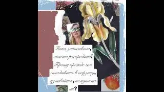 про коллекцию в ватсапе #jewelry #брошь #crystals