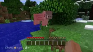 Minecraft Live!