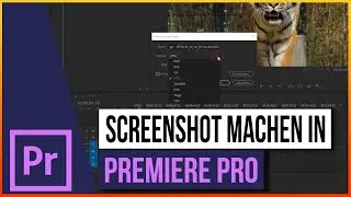 Screenshot in Adobe Premiere Pro ( 2024 ) Deutsch HD