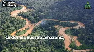 Ecocarbón