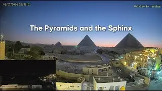 Have You Ever Seen The Pyramids At Night? #OwlView