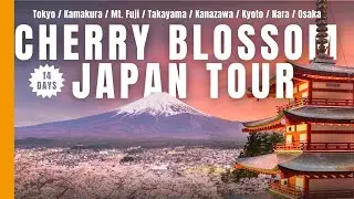 🌸 14 Days in Japan 🌸 Top Itinerary with all the Sakura Viewing Spots!
