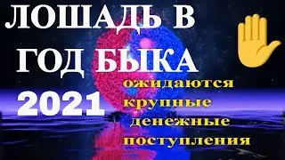 Лошадь в год 2021, год Металлического Быка