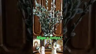 С Вербным Воскресеньем !