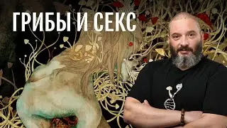 «Грибы и секс». Запись лекции-презентации новой книги Михаила Вишневского