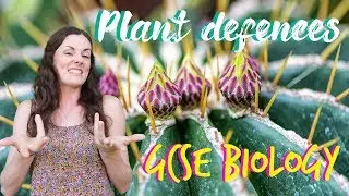 Plant defences - GCSE Biology (Revision for 2020)