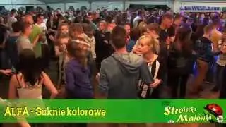 ALFA - Strojecka Majówka 14
