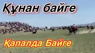 Қапал құнан байге!  Қапал 10 мамыр!