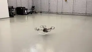 MAVROS Python Motion Capture Demo
