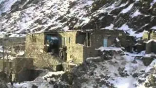 Обязательно ли шейх должен быть алимом.