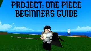 BEGINNERS GUIDE | PROJECT: ONE PIECE | Roblox