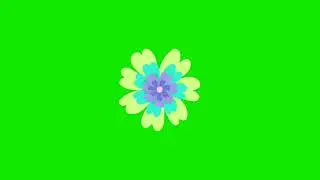 green screen flowers motion graphics animation cartoon overlay video