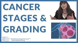 #2 | Grading of cancer/cancer stages | Cancer Education & Research Institute