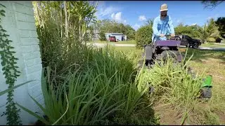 She was WAY TO BUSY to mow her yard so its became a NUISANCE!!!