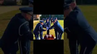 Honor 