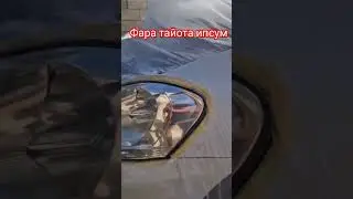 тайота ипсум палировка фара