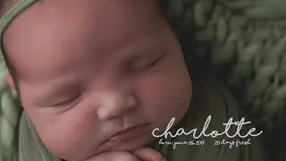 Houston Newborn Photographer Pink Owl Studios
