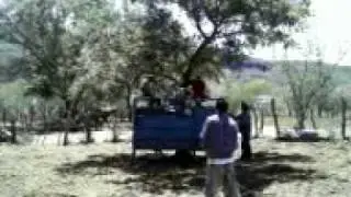JINETEANDO EN LAS PIÑAS VI (CHILINGO).3gp