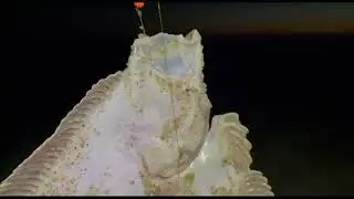 Ловлю Комбалу!Ночная Балтика)