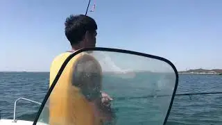 三河湾、2023年、キス釣り開幕！