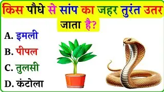 किस पौधे से सांप का जहर तुरंत उतर जाता है llGk In Hindi ll Gk Question ll General Knowledge