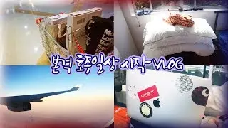 본격 호주vlog 🇦🇺| 시드니로 출국, 집 구하기, 생활용품 사고 티본 스테이크