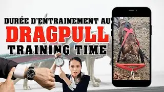 DRAGPULL: Training time [MULTI subtitles]