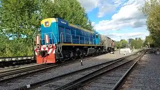 ТЕПЛОВОЗ ТЭМ2М 077 С ГРУЗОВЫМ ПОЕЗДОМ.